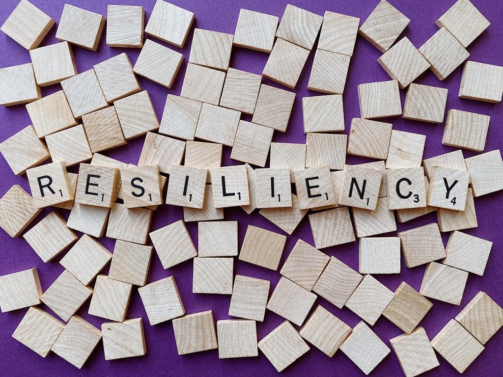 Picture displaying the word resilience.